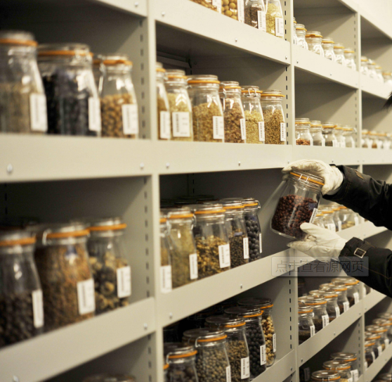 果蔬种子储存库